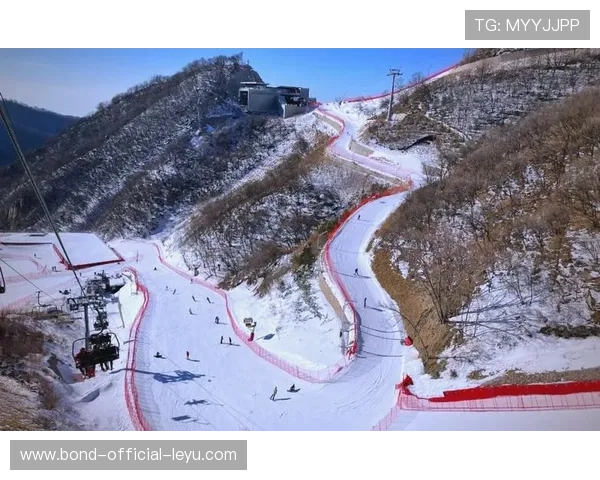 世界高山滑雪赛道维护与观众安全手册发布，国际高山滑雪挑战赛