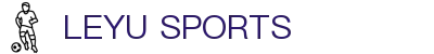 乐鱼体育（LEYU SPORTS）中国官网-官方入口